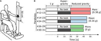 Dexterous Manipulation During Rhythmic Arm Movements in Mars, Moon, and Micro-Gravity